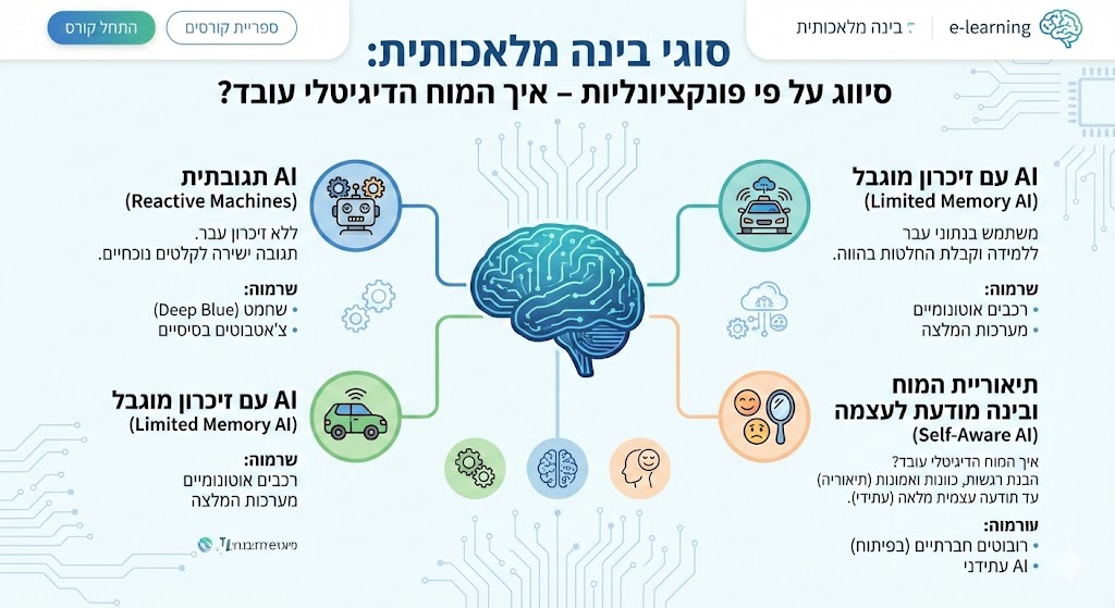 סיווג על פי פונקציונליות